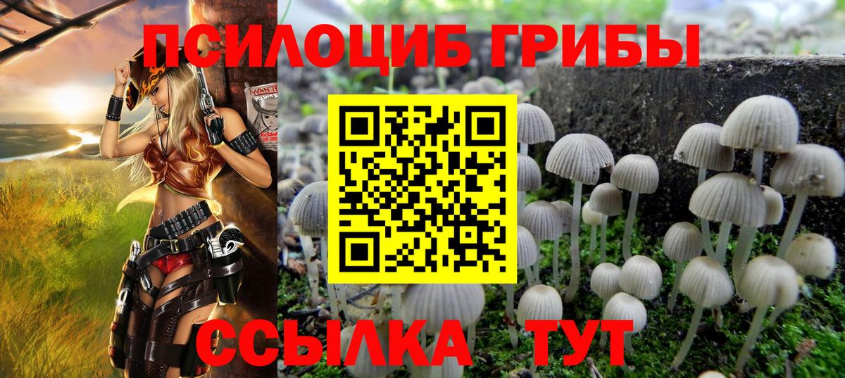 Галлюциногенные грибы MAGIC MUSHROOMS Нижневартовск