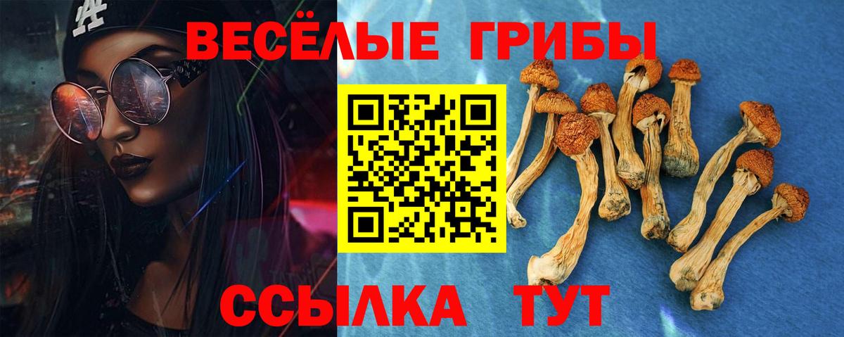Нижневартовск  Псилоцибиновые грибы ЛСД  Вход с VPN 